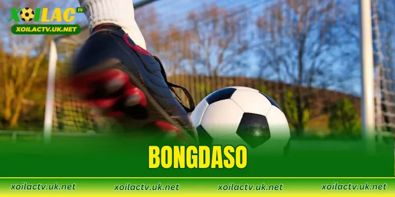 Bongdaso